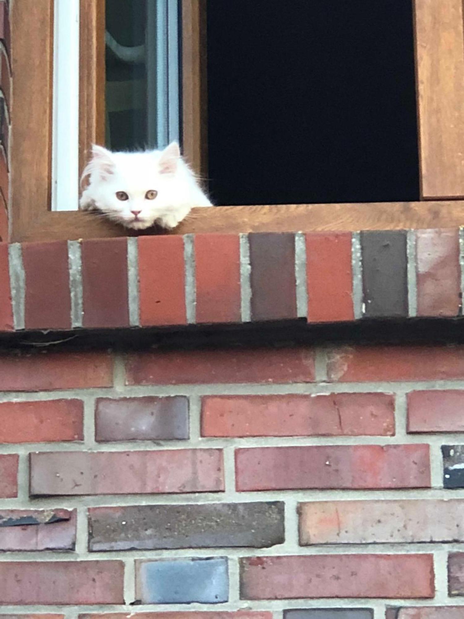 ノイハルリンガージール Hillrichshofヴィラ エクステリア 写真